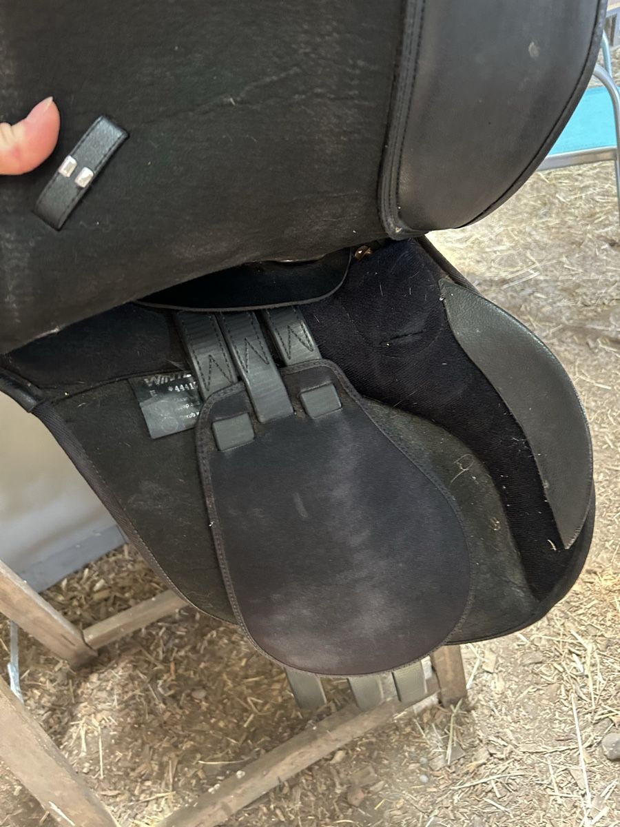 Selles, accessoires: Wintec VS  – D'occasion à Thörigen par jojo.258 6