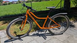 Naloo 26" Kindervelo