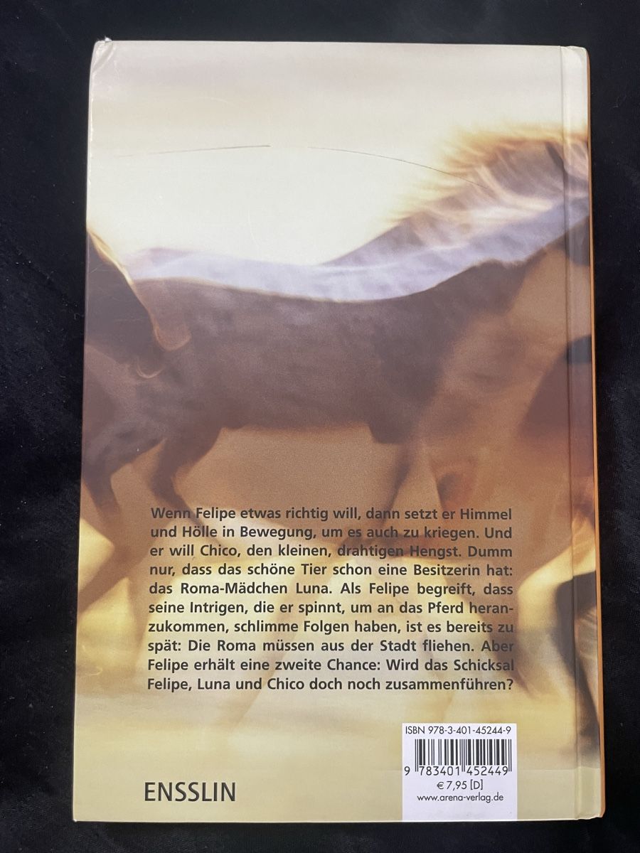 Libri: Der Schicksalsritt – Usato da Thun venduto da bue_59vc 1