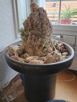 Zimmerbrunnen mit Tuffstein Felsen