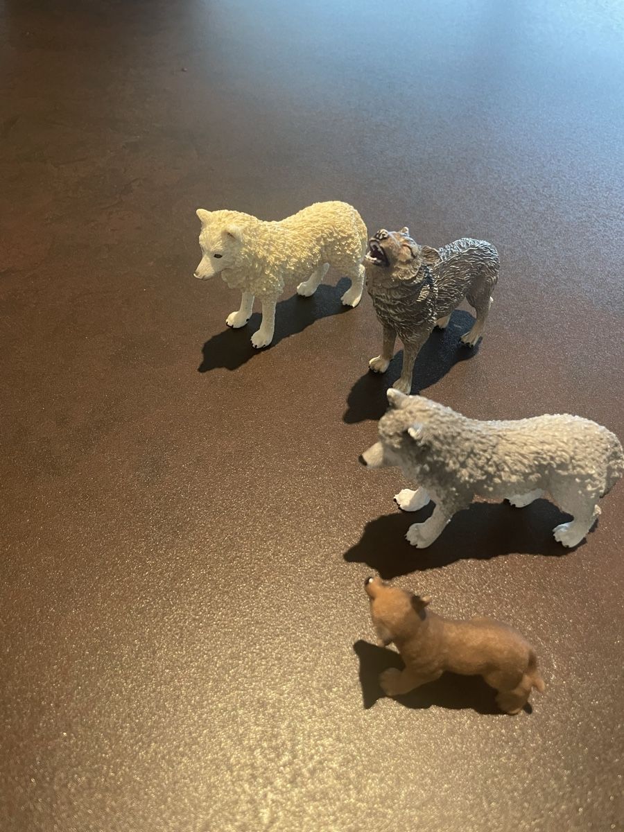 Schleich Statuette: Schleich Wolfsfamilie – Usato da Walchwil venduto da Pirib82 1