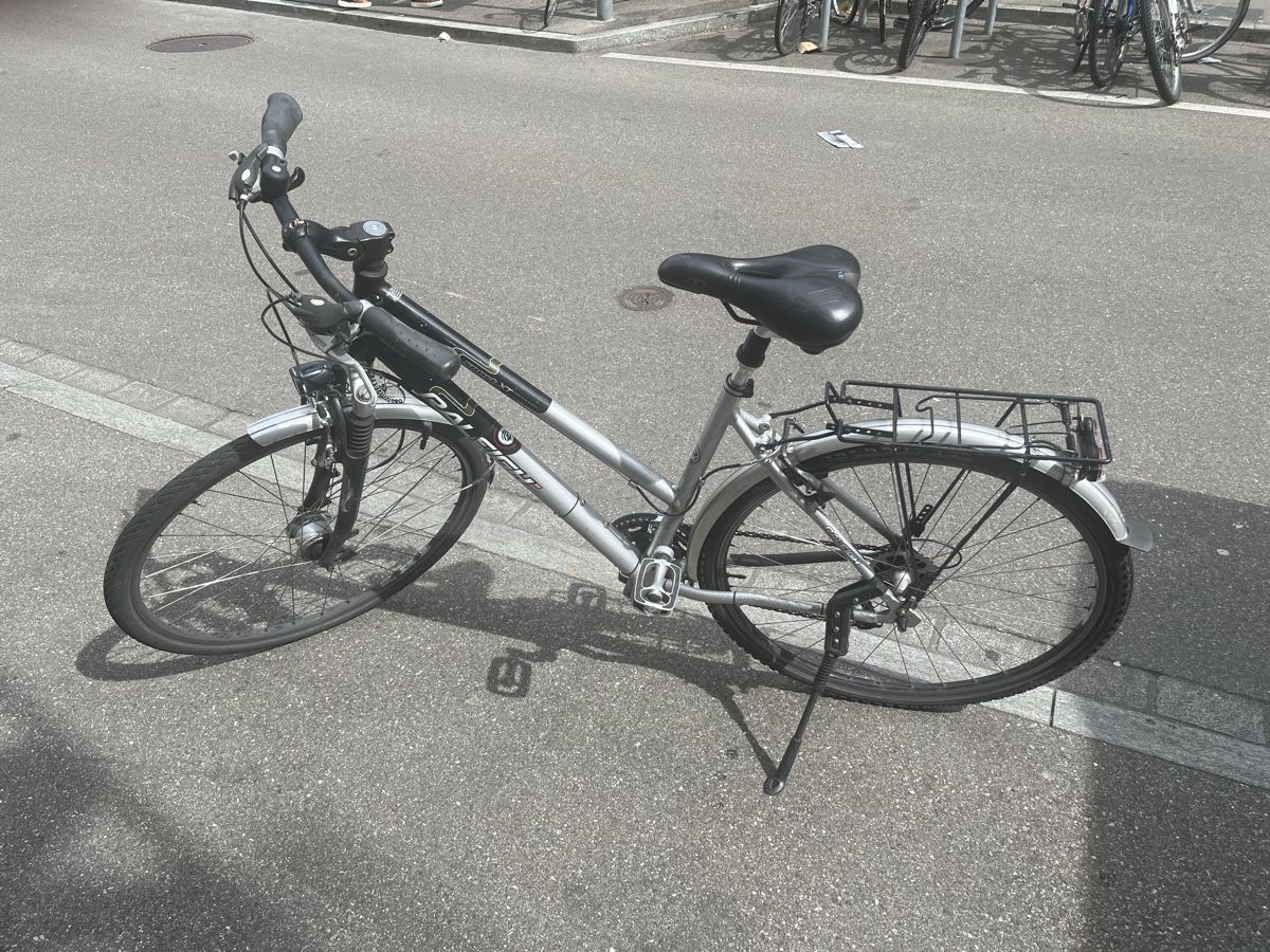 Raleigh Vélos: Raleigh Mtb – D'occasion à Zürich par dig_9cgg 2