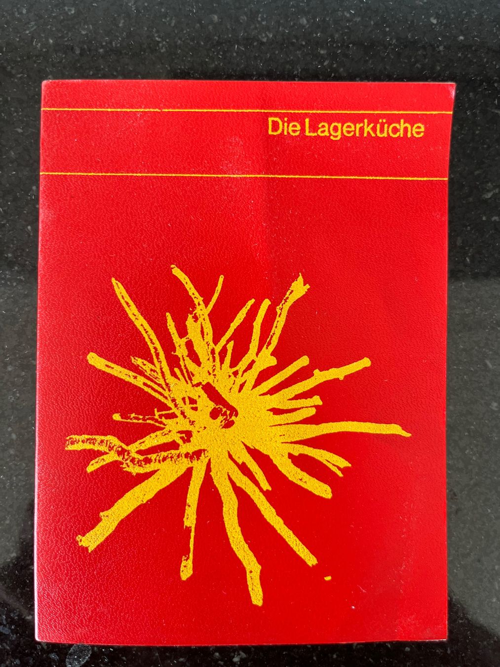 Libri: Büchlein "Die Lagerküche" Maggi AG 1966 – Nuovo (secondo la descrizione) da Zürich venduto da ivo_t9rd