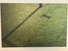 Fotografie auf Dibond (2011), signiert