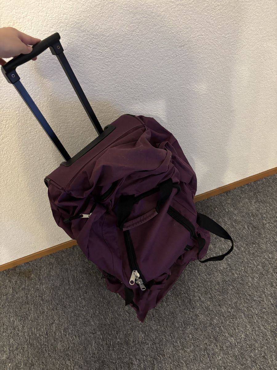 Borse: Reisetasche – Usato da Lostorf venduto da joe_tlk9 2