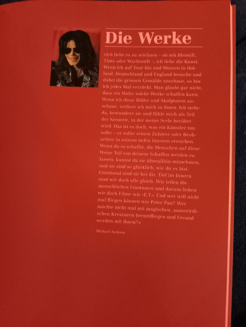 Livres: Buch Kunstwerke von Michael Jackson – D'occasion à Fischbach LU par BuBri 2
