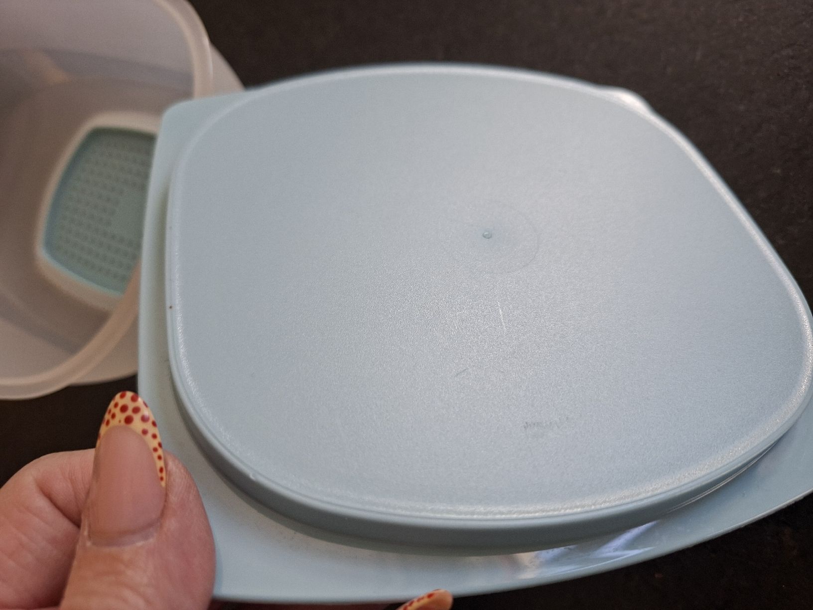 Tupperware Contenitori & Simili: tupper Käsebox neu – Nuovo (secondo la descrizione) da Meinisberg venduto da MartinaM1972 1