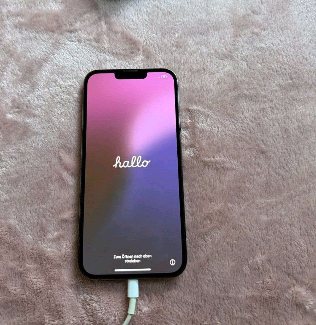 Apple Telefoni cellulari / Smartphones: iPhone 13 Pro Max (128GB) Akku 100% – Usato da Luzern venduto da Waince786 1