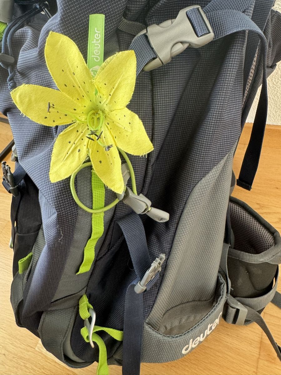 Deuter Zaini: Deuter Rucksack 30L Damen – Usato da Lauwil venduto da nina-lara 6
