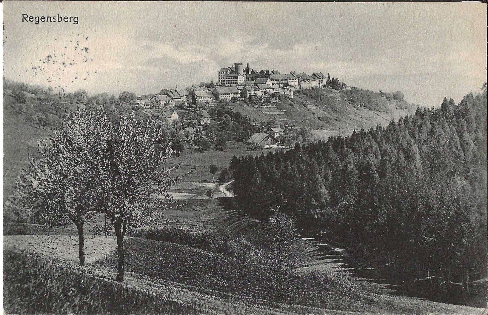 Cartoline postali: Karte Regensberg 1923 – Usato da Zürich venduto da Philacat11
