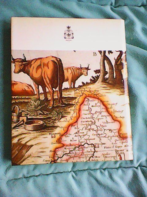 Libri: Die Feigenwinter 1434-1988 - Reinach Birseck – Usato da Rümlang venduto da Vuvuzella 1
