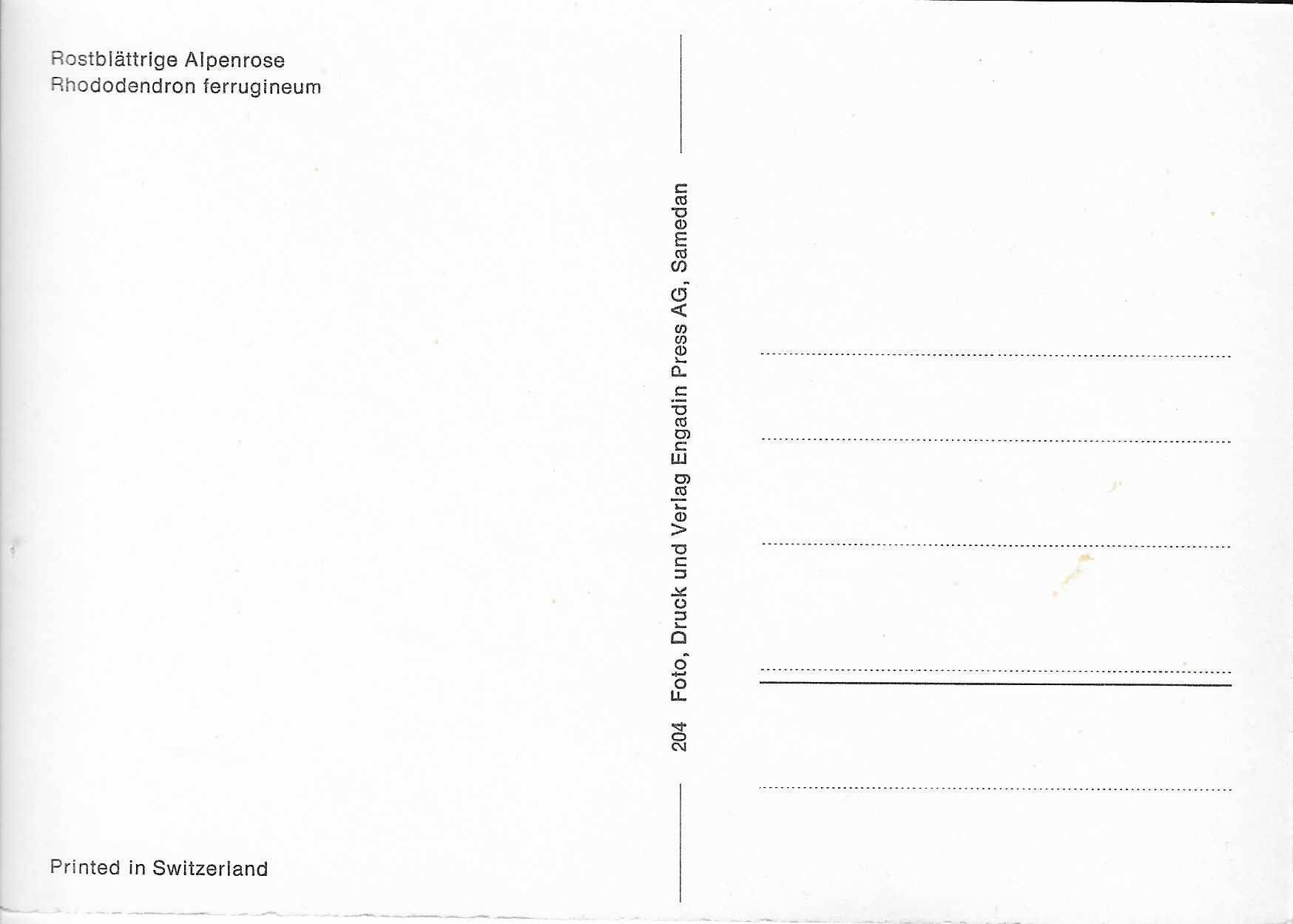 Cartes postales: Rostblättrige Alpenrose – Neuf (Voir description) à Rothrist par Stranglehold 1
