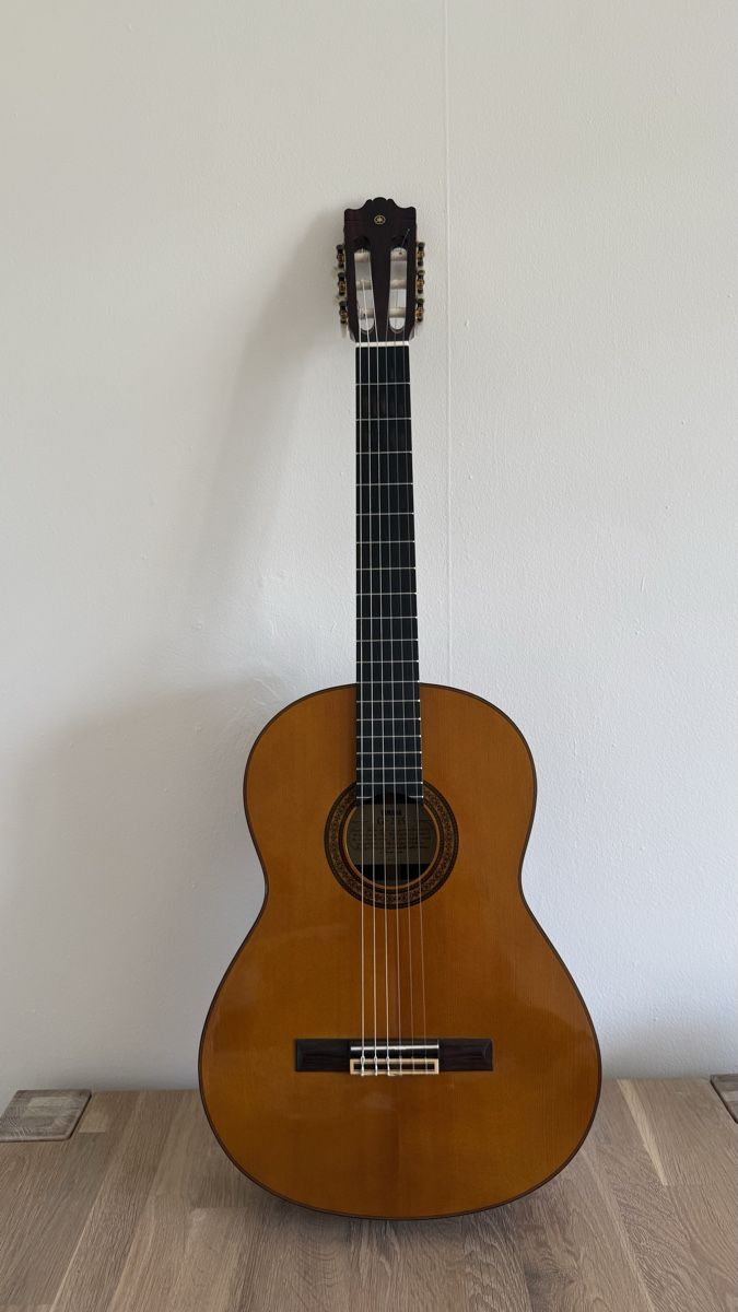 Musikinstrumente: Gitarre inkl. Tasche – Gebraucht aus Zürich von Riley16