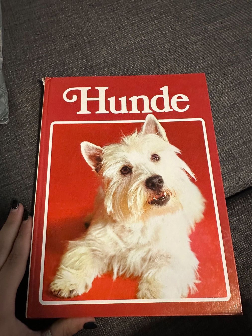 Bücher: Hunde – Gebraucht aus Schaan von Hermine2018