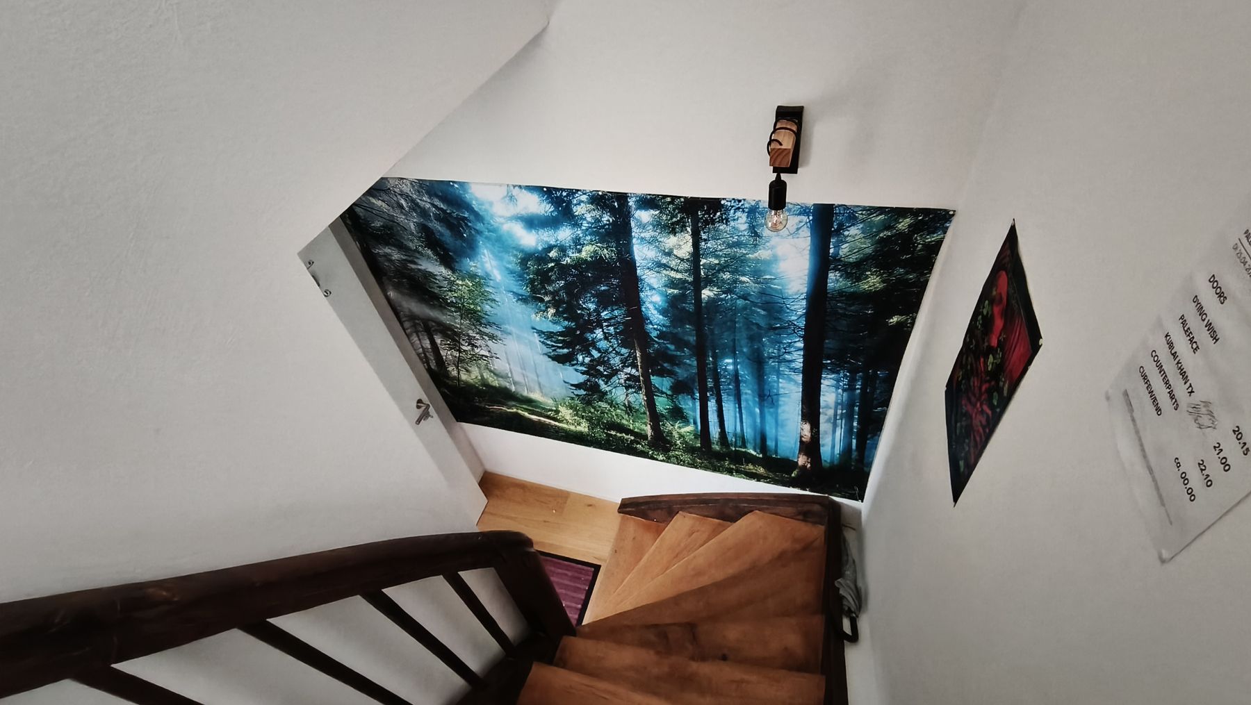 Tutte le decorazioni: Wandbild Flagge Wald – Usato da Unterlunkhofen venduto da bebiboar 1