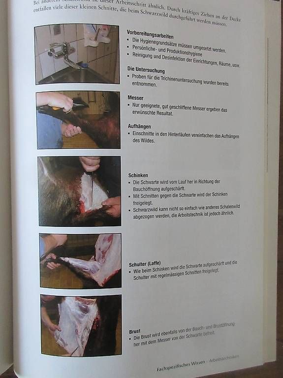 Libri: Von der Wildbahn auf den Teller – Usato da Madiswil venduto da Mamaro 3
