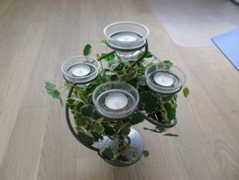 Kerzenständer, 5 Teelichter mit Gläser und Kletterpflanze