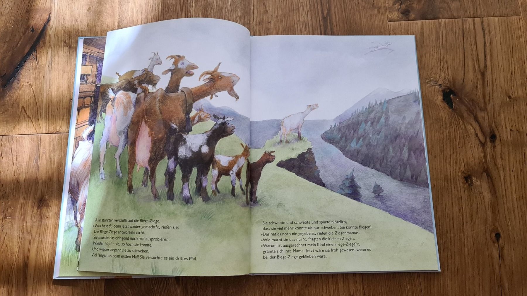 Libri: Buch Die fliege ziege – Usato da Wittenbach venduto da Tigerlili 4