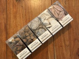 Natural & Dried Botanicals – Naturdeko 