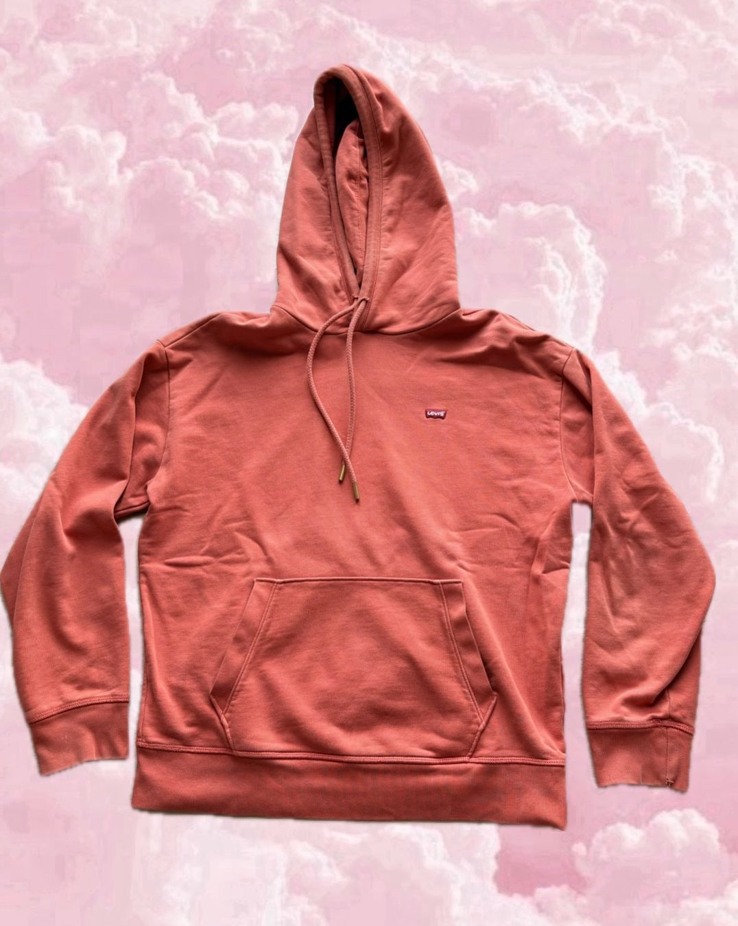 Levi's Pulls & Sweat-shirts: Levis Hoodie – D'occasion à Wigoltingen par _vntg_