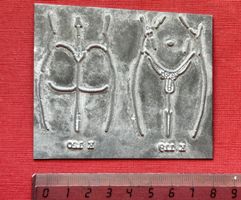 Druckplatte Metall, Klischee Druck, Anatomie, Medizin