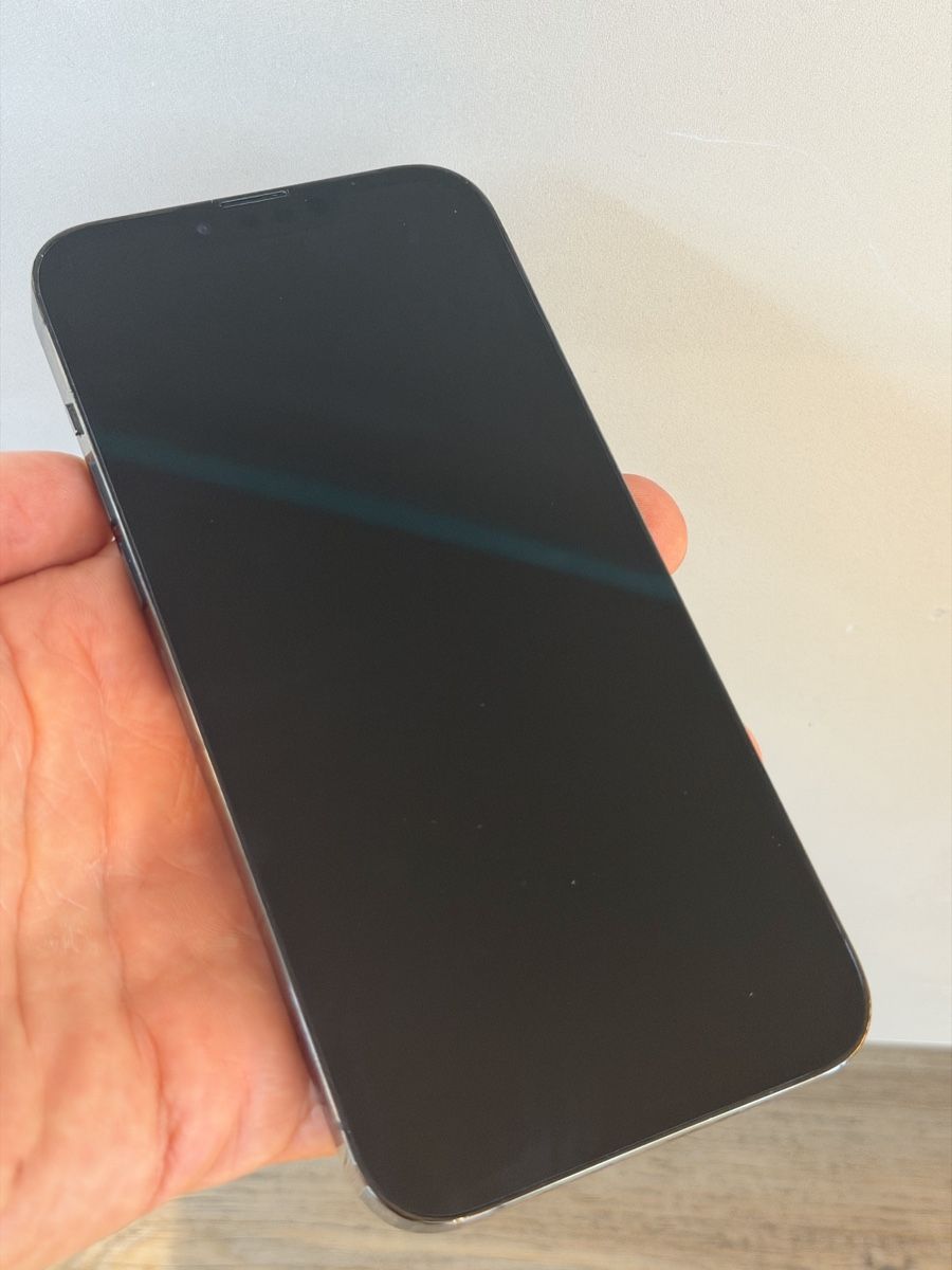 Apple Telefoni cellulari / Smartphones: iPhone 13 Pro Max 256 GB – Usato da Giubiasco venduto da HaveFunTI 4