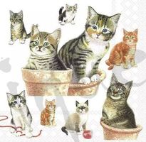 Serviette cute kittens (1663) 2Stk.