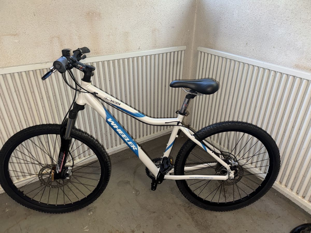 Wheeler Biciclette: Mountainbike Wheeler  – Usato da Zürich venduto da Naniiin 1