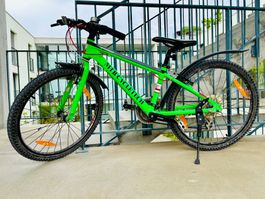 Kindervelo MTB CYCLETECH Speedster 24