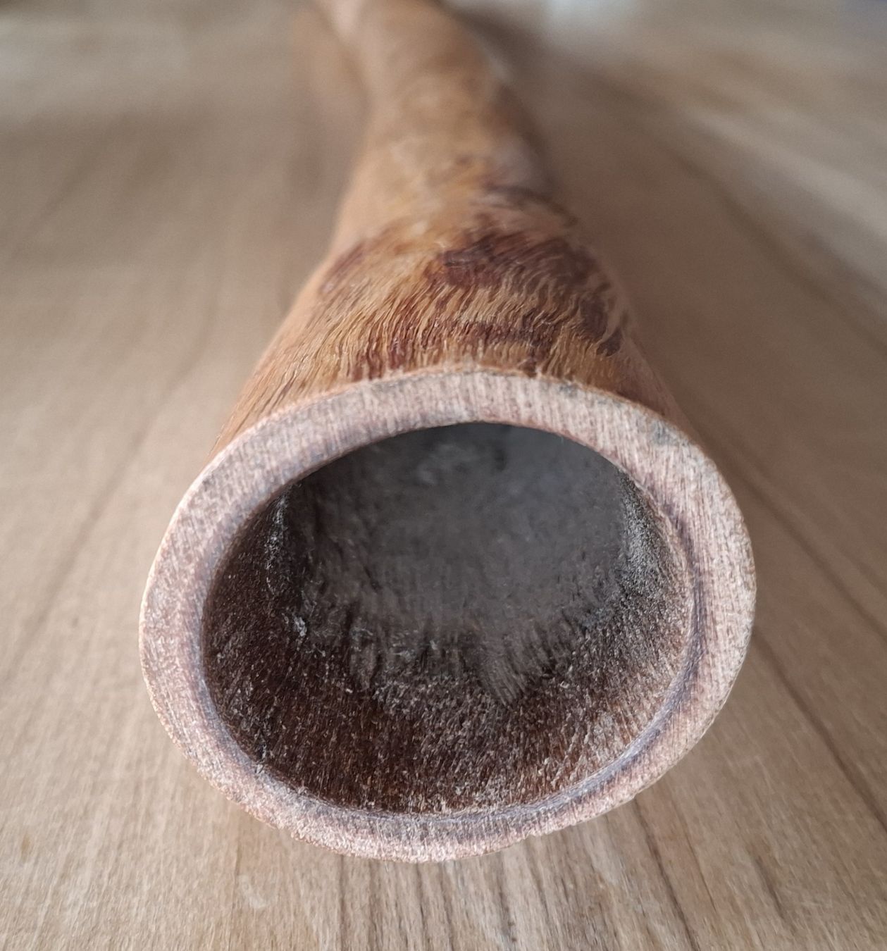 Strumenti musicali: Didgeridoo – Nuovo (secondo la descrizione) da Marbach SG venduto da Mmyway