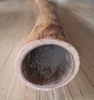 Didgeridoo