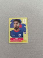 Panini CPV5
