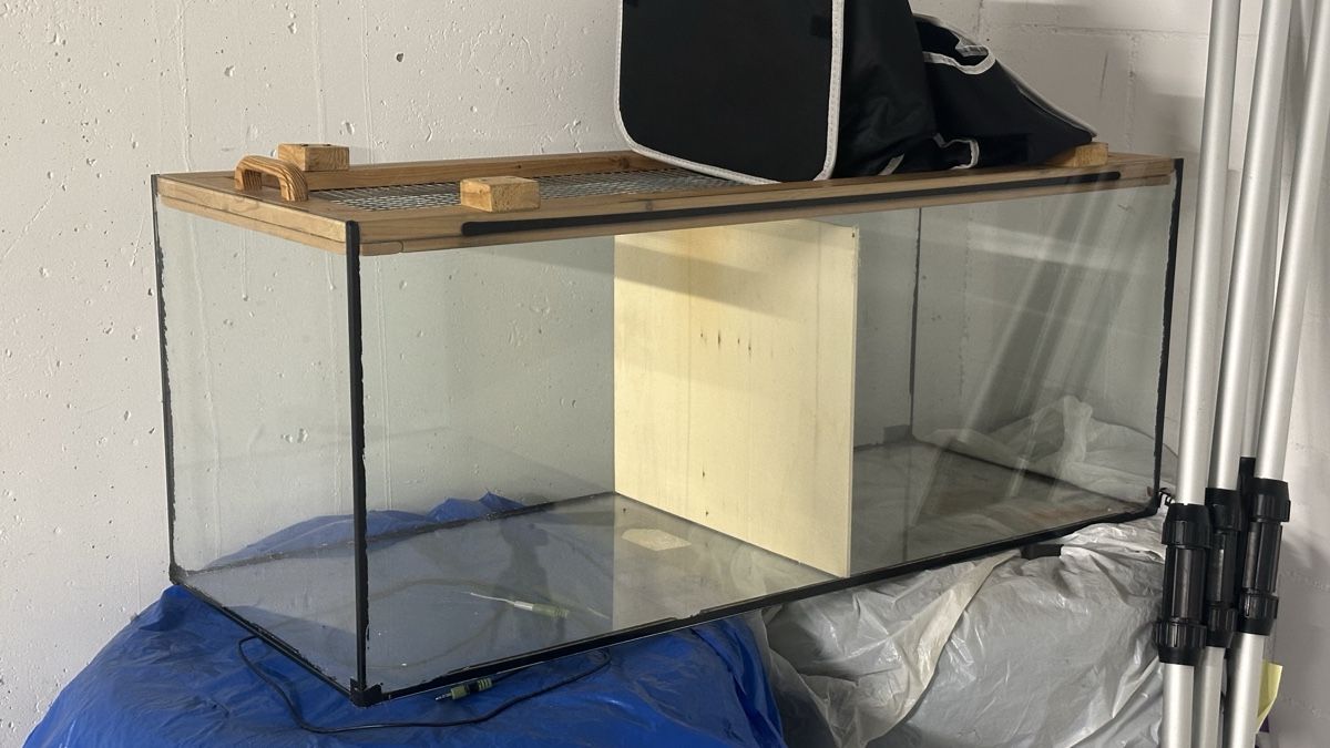 Terrario: Terrarium mit Holz Deckel – Usato da Langnau b. Reiden venduto da jan_t6bd