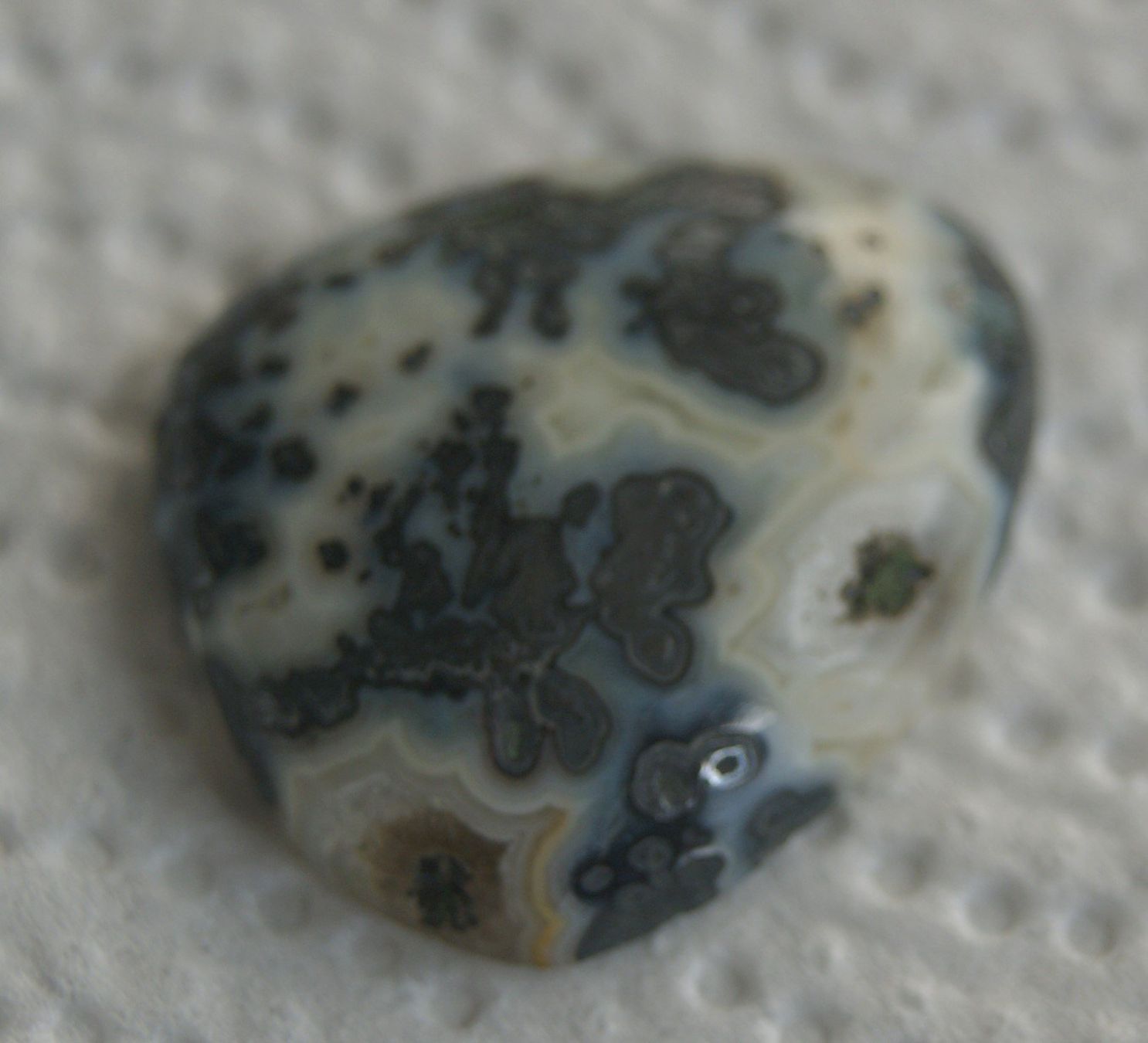 Edelsteine: DENTRITISCH PARALLEL CABOCHON – Neu (gemäss Beschreibung) aus Stadel von Wald100 2