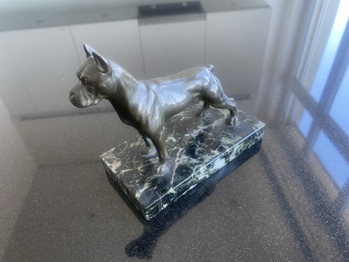 Sculture & Statue: Bronze Boxerhund  – Usato da Buochs venduto da Chreschte2 2