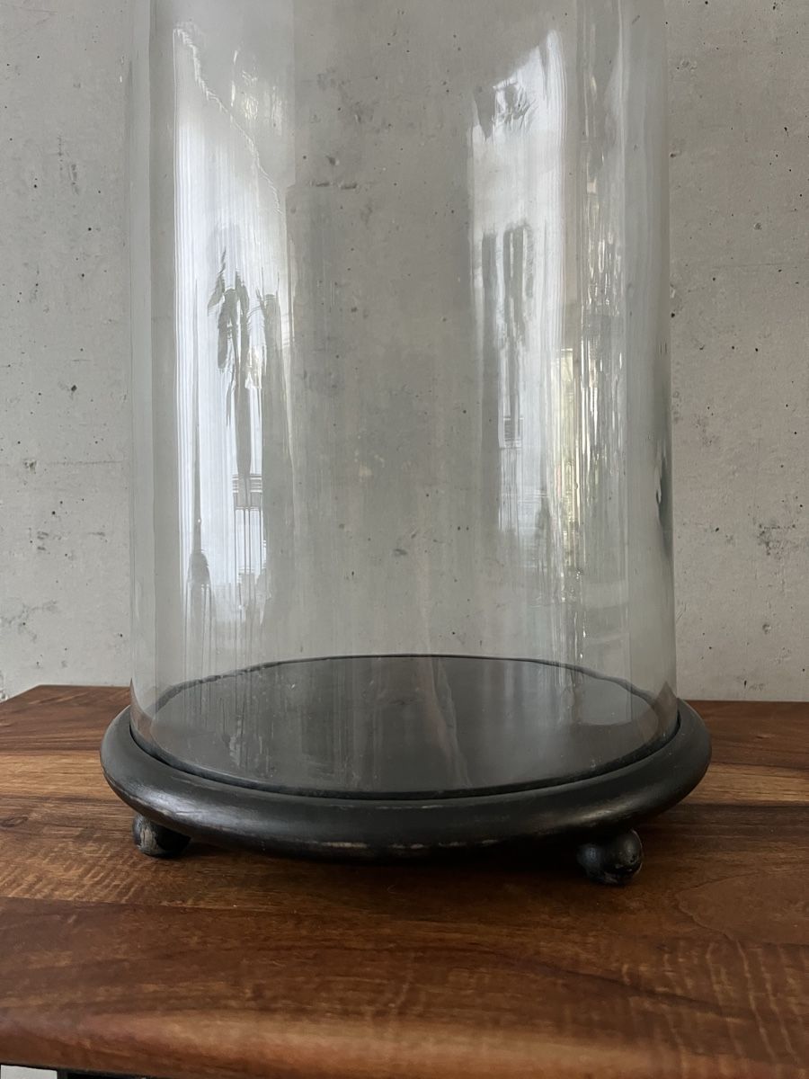Tutte le decorazioni: Antike sehr grosse Glas Glocke / Glaskuppel – Usato da Wabern venduto da La-Vitrine 2
