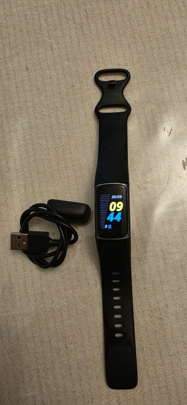 Fitbit Smartwatch: Fitbit Charge 5 – D'occasion à Lyss par ram76