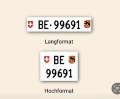 Auto Kontrollschild BE 99691