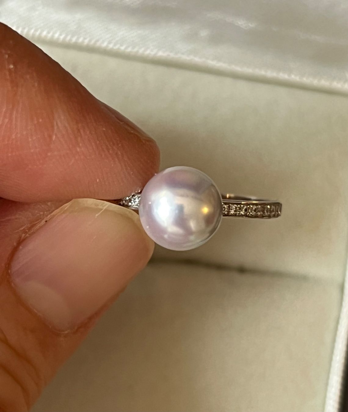 Ringe: Goldring 750 mit echter Akoyaperle 8.1 mm – Neu (gemäss Beschreibung) aus Bern von Steinfieber 5