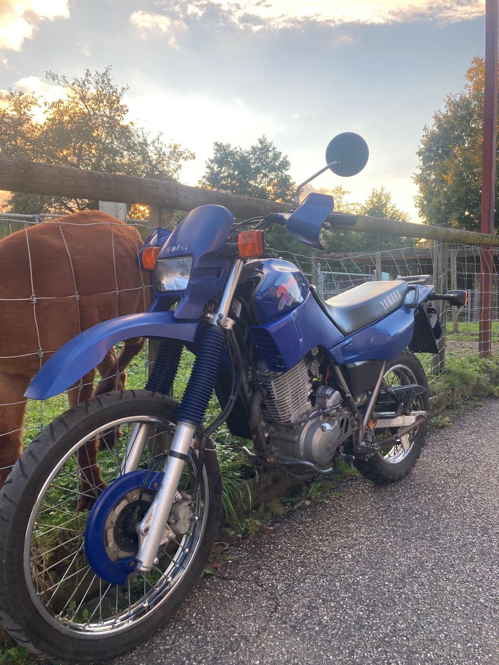 Yamaha Enduro: Yamaha xt 600 e – Usato da St. Gallen venduto da zx10r 1
