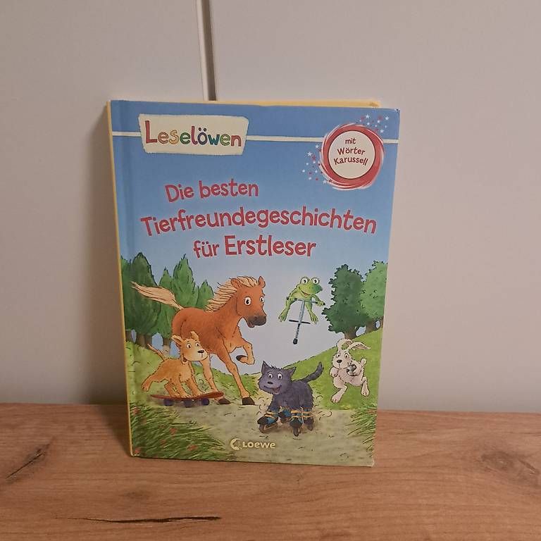 Bücher: Leselöwen Buch – Gebraucht aus Neftenbach von sam_jbb5 1