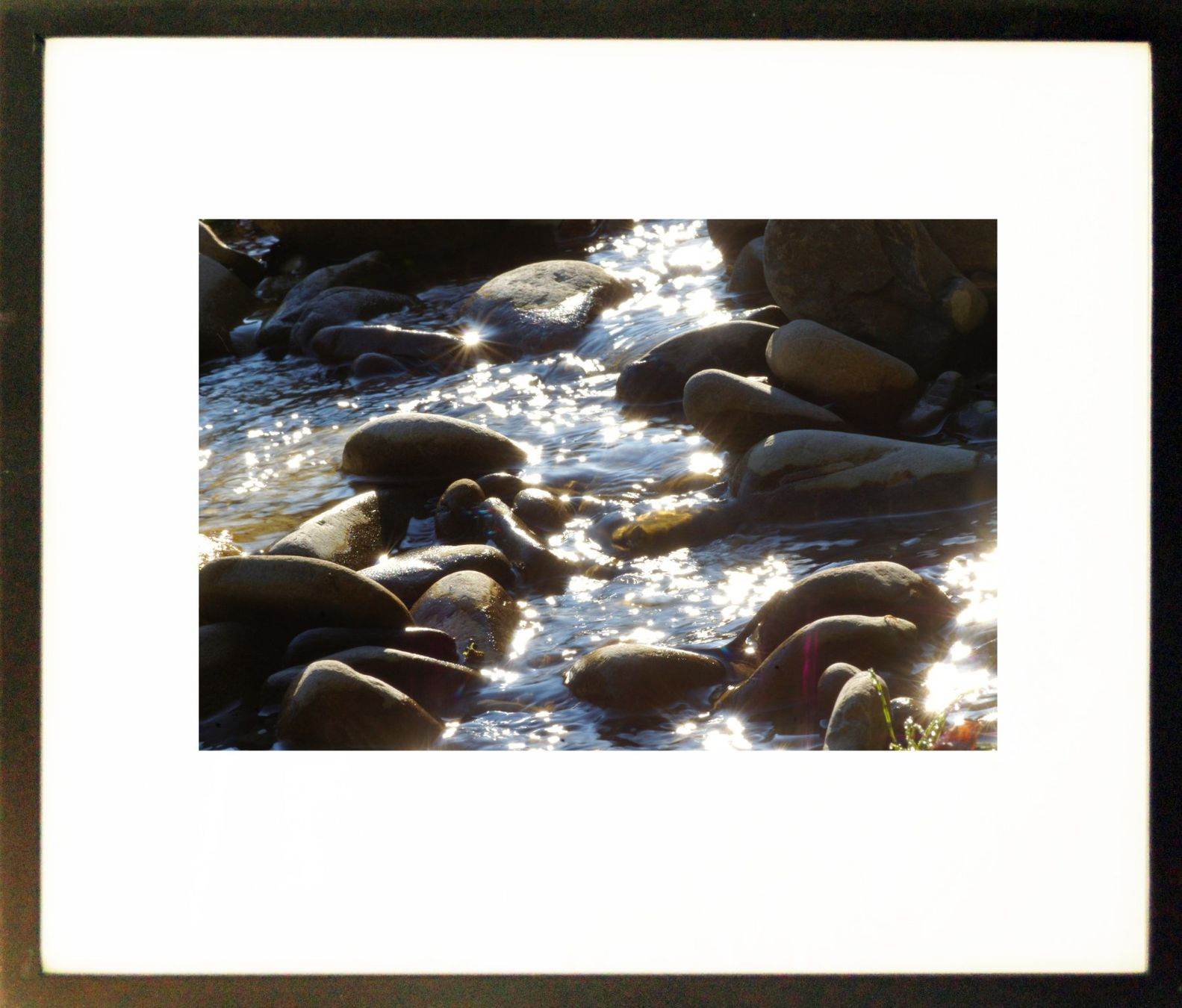 Poster & Bilder: Fotografie:  Reflektionen I – Neu (gemäss Beschreibung) aus Fribourg von erw_68dx