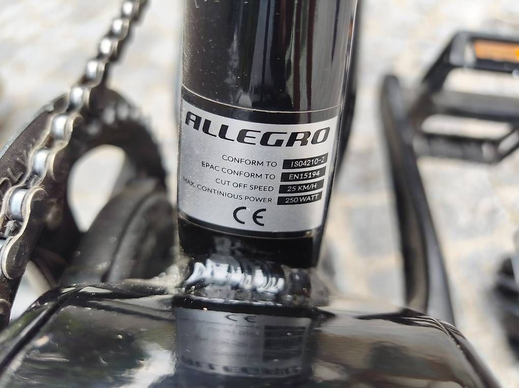 Biciclette: Elektrofahrrad Allegro – Usato da Reichenbach i. K. venduto da Feins_von_Rahel 2