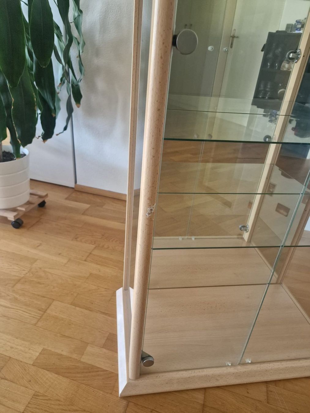 Vitrinen: Glasvitrine – Gebraucht aus Liestal von Br4nd1 3
