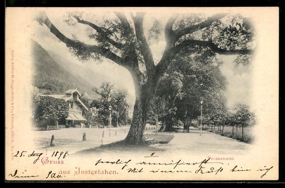 Cartoline postali: AK Interlaken, Promenade – Usato da Berlin venduto da bartko-reher