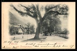 AK Interlaken, Promenade