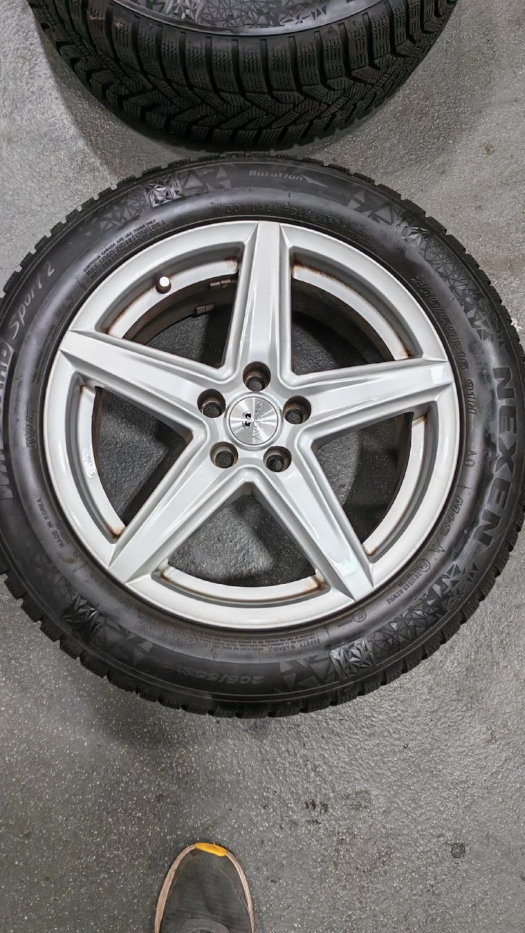 Fiat Pneumatici & Ruote complete: Fiat Tipo Kompletträder Winter – Usato da Oberengstringen venduto da 156driver 1
