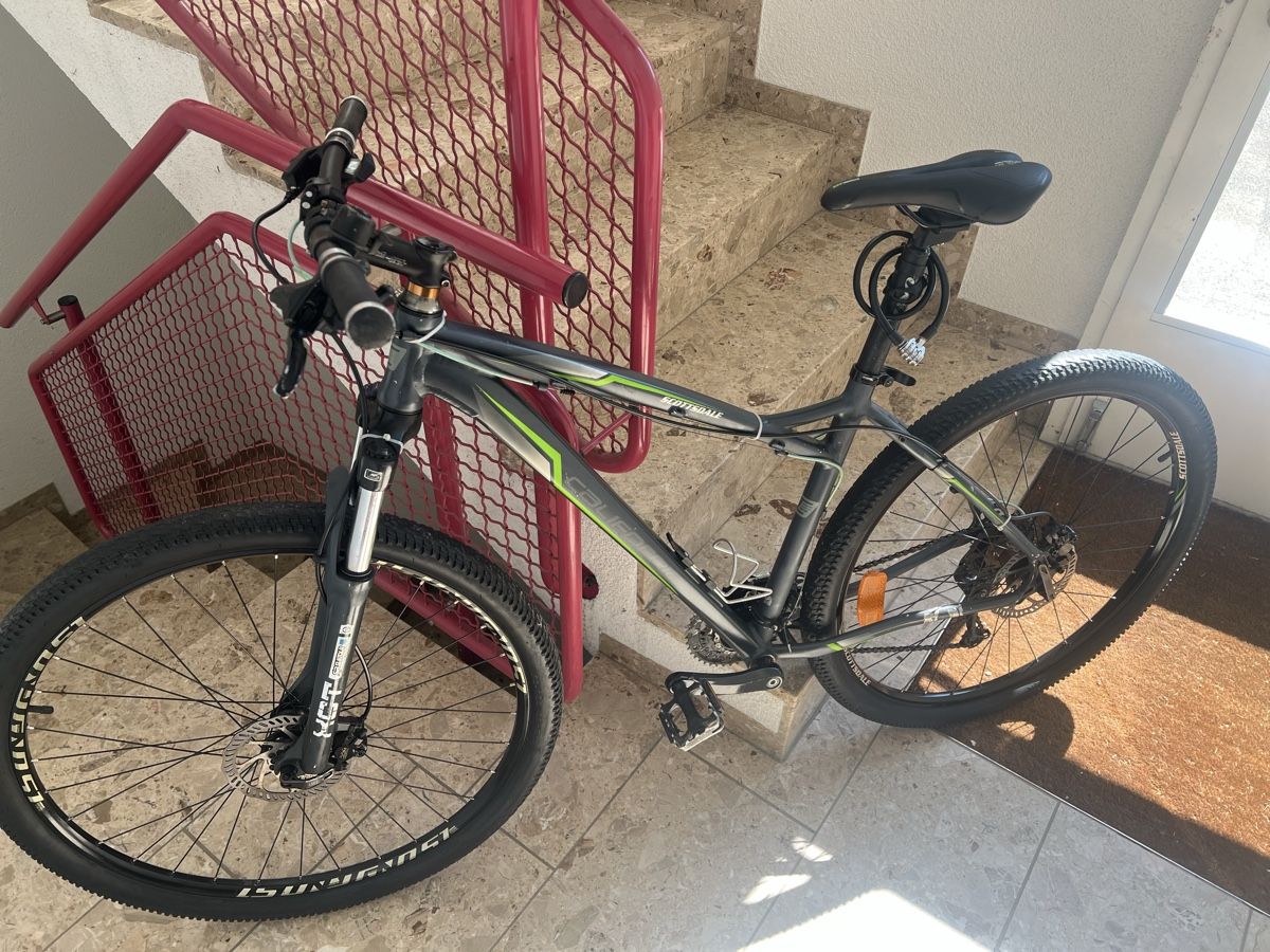 Biciclette: Mountainbike Scottedale 29zoll – Usato da amriswil venduto da ali_6dnw 7
