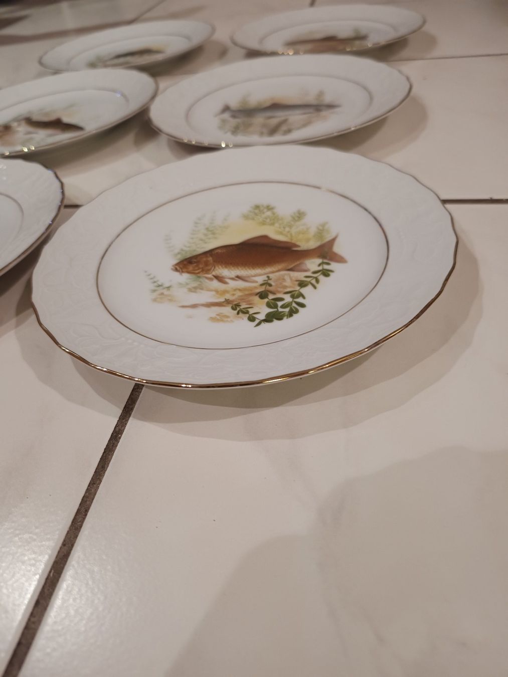Piatti: Fischteller Mitterteich – Usato da Pfäffikon SZ venduto da Elendir 1