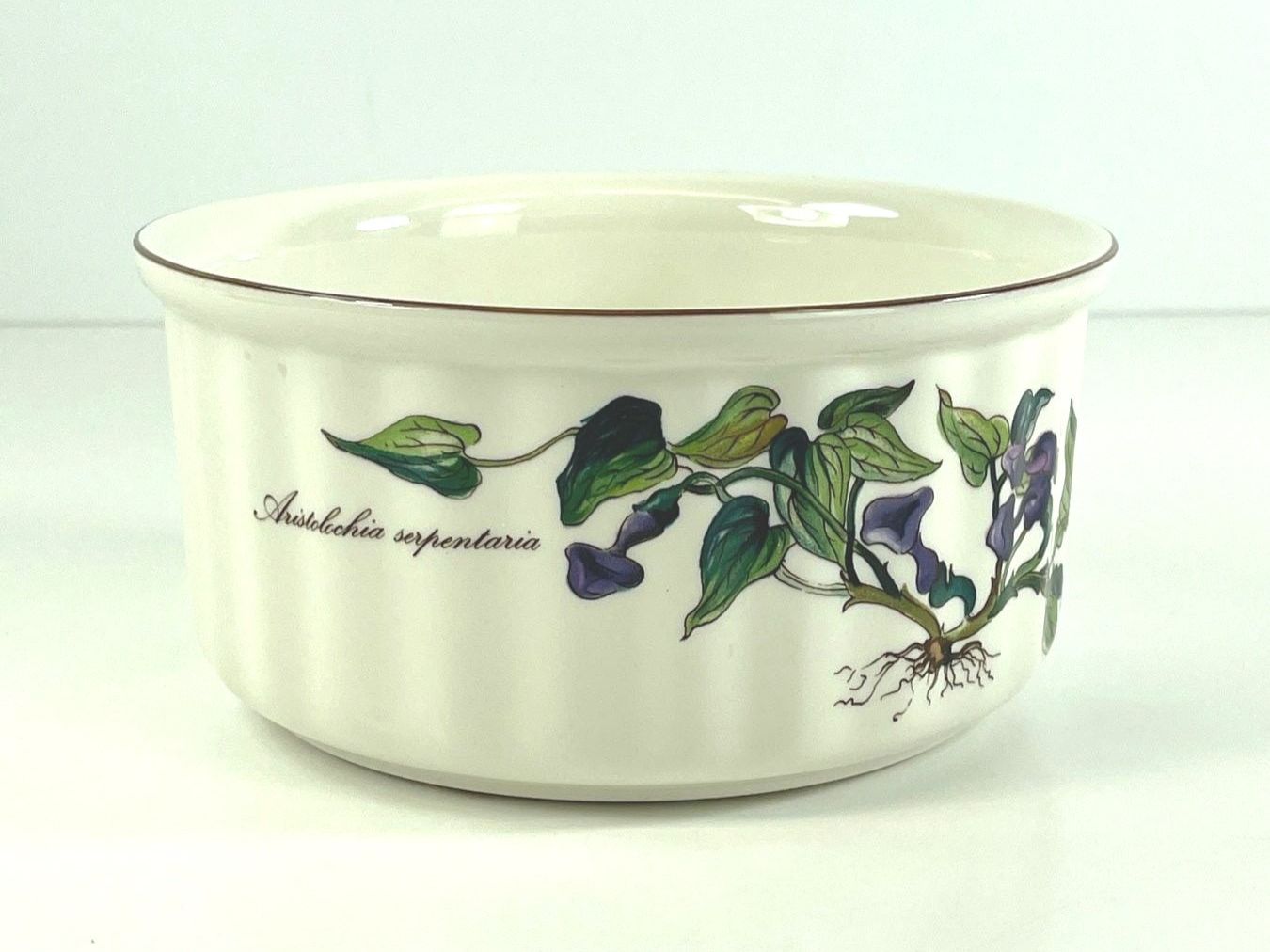 Villeroy & Boch Backformen: VILLEROY & BOCH Botanica Auflaufform 924/3 – Gebraucht aus Zürich von Arche_Brockenhaus 2